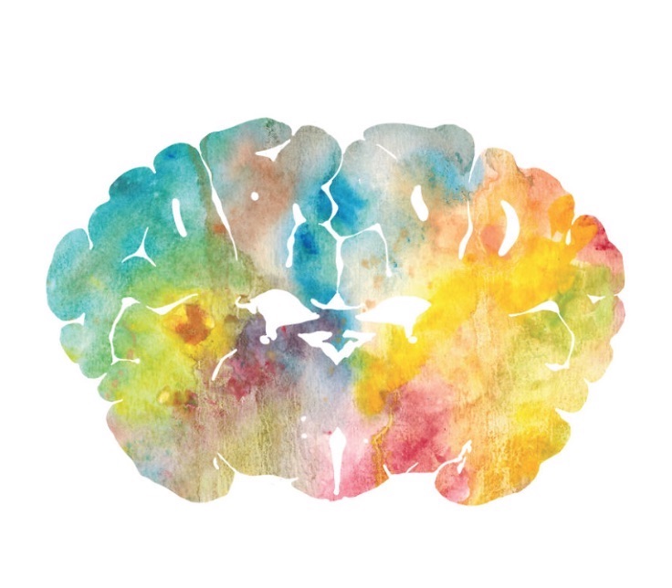 colorful watercolor image of a brain